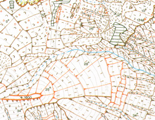 Le unità verranno contraddistinte con un simbolo convenzionale, ubicato in una posizione approssimativamente baricentrica, possibilmente