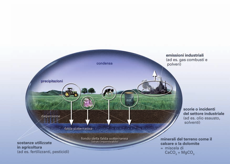 Componenti dell acqua potabile L acqua e i suoi elementi Come arrivano le sostanze nell acqua? Nell acqua potabile sono presenti numerose sostanze: sostanze naturali provenienti dall ambiente, ad es.