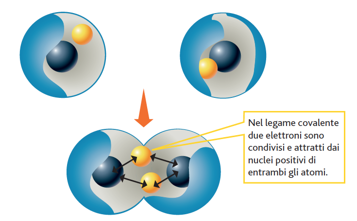 I legami covalenti e ionici (I) Il legame covalente è responsabile della formazione delle molecole ed è reso possibile da una condivisione degli