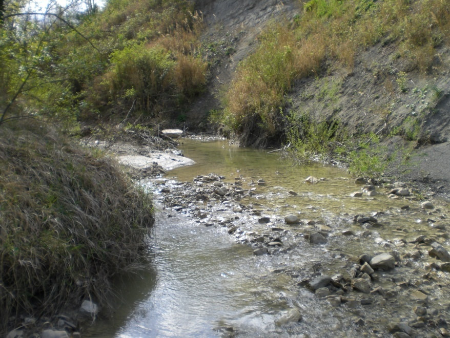 Fiume Uso_ stazione Uso di Vernano 01 (215 m.s.l.m.) Il Torrente scorre in questo tratto con andamento unicorsale poco sopra l abitato di Ponte Rosso.