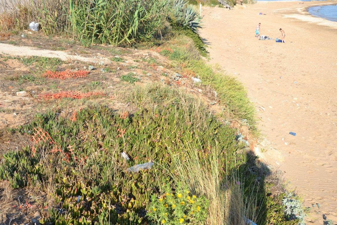 Ripristino dell accesso alla spiaggia in prossimità degli scavi (scaletta in cemento