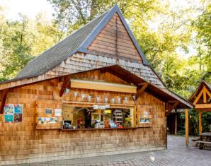 tropicale: un percorso incantevole in una piccola foresta tropicale al