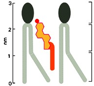 code apolari si compattino troppo, soprattutto quando ci si trova a basse temperature, contrasta così il