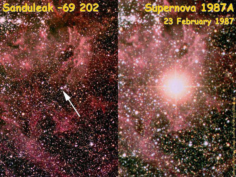 Type II Supernovae Piero