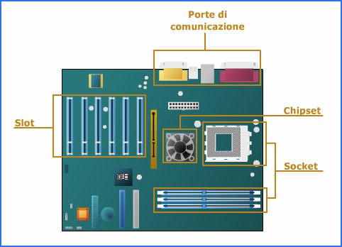 Appositi connettori, detti socket, offrono la sede per la CPU e per uno o più moduli di memoria RAM, mentre altri connettori, detti slot, servono per ospitare una o più schede di espansione opzionali.