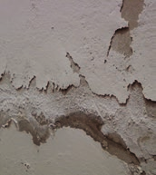 Si tratta dell umidità più insidiosa perchè trasporta sali disciolti che innescano nella muratura processi di salnitrazione.