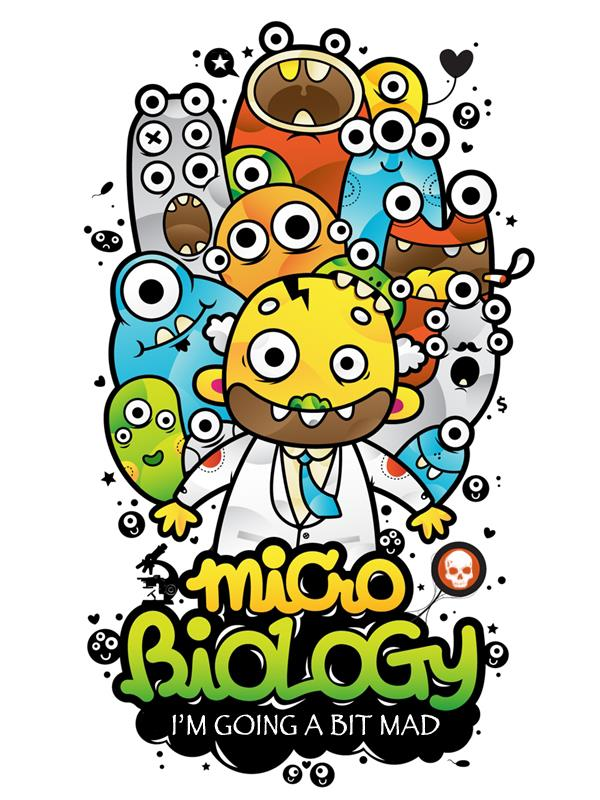 Corso Integrato di MICROBIOLOGIA e MICROBIOLOGIA CLINICA C O R S O D I L A U R E A I N M E D I C I N A E C H I R U R G I A U N I V E R