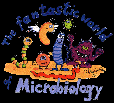 microbiologia deriva