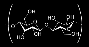 POLISACCARIDI (amido,cellulosa,lignina,succinato,chitina/chitosano,alginato) Formatidamonosaccaridi,zuccherisemplici(CH2O)n,uniticonlegamiglucosidici (covalente con perdita di una molecola d'acqua),