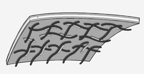 1) RETI GELIFICATE: Corteccia cellulare Membrana plasmatica ISTOLOGIA UNIPG actina filamina E composta da un fitto feltro di actina e proteine di collegamento, tra le quali spicca la filamina.