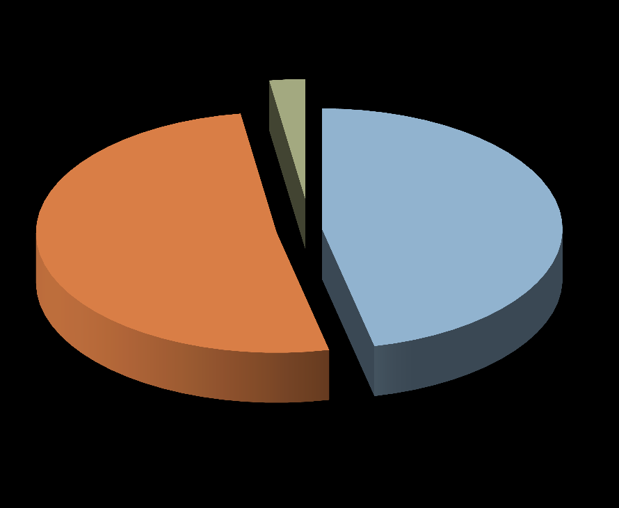 Esito delle mediazioni Proponente rinunciante prima dell'esito 2,4% Presenza delle parti Esito della mediazione (quando le parti