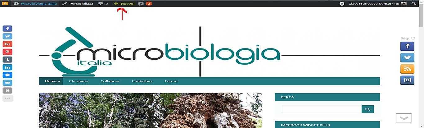 Per creare un articolo, accedere normalmente all home page del blog (http://microbiologiaitalia.altervista.