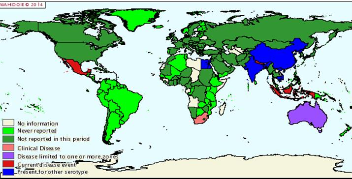 13 INFLUENZA AVIARIA Figura 18: Situazione epidemiologica per influenza aviaria nel mondo nel periodo