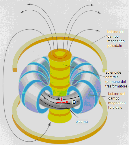 magnetico generato da un solenoide chiuso a forma di toro Perché un plasma toroidale sia in