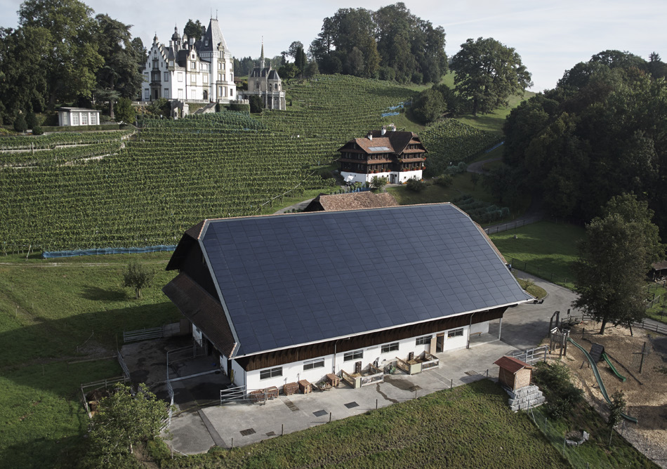 Schweizerischer Fachverband für Sonnenenergie Association suisse des professionnels de l énergie solaire Associazione svizzera dei professionisti dell energia solare Neugasse 6 CH 800 Zürich Tel.