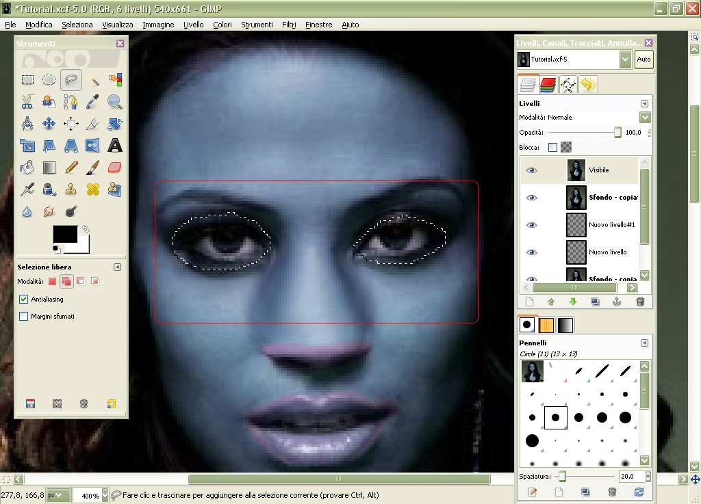 19) Selezioniamo ora lo strumento Lazo ed andiamo a selezionare e ad eliminare gli occhi dell immagine