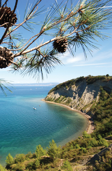 Le migliori ragioni per trascorrere la vostra vacanza in Hoteli Bernardin 1 Punti di interesse naturale Il Parco naturale delle saline di Sicciole è una delle riserve naturali più importanti della