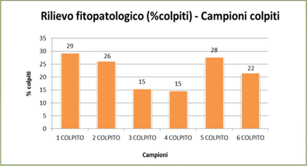 Rilievo fitopatologico 2013/2014 La presenza