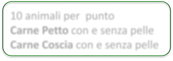 C Broiler Valutazione nutrizionale Mangime