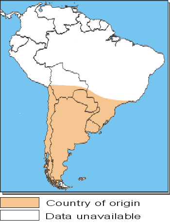 Origine e diffusione La nutria (Myocastor coypus) è un roditore di origine sud-americana (Argentina, Brasile meridionale) importato come animale da pelliccia ed