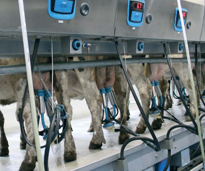 mungitura e allarmi FFS30, sensore di flusso del latte a passaggio diretto a infrarossi (Free Flow Sensor) che consente un monitoraggio preciso e affidabile del flusso del latte e della quantità