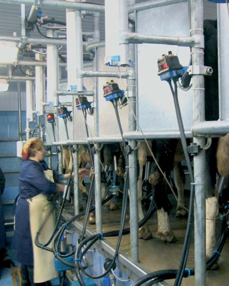 (Free Flow Sensor) che consente un monitoraggio preciso e affidabile del flusso del latte e della quantità prodotta Sistema