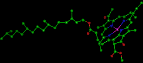 La clorofilla. La molecola della clorofilla a è caratterizzata da un "nucleo porfirinico" formato da quattro anelli pirrolici, un atomo di magnesio (Mg) e numerosi doppi legami coniugati.