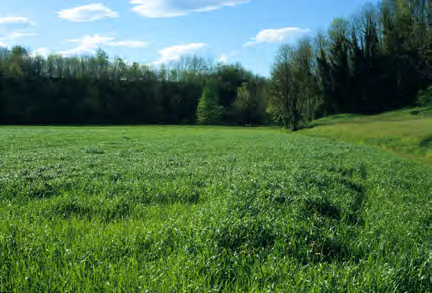 Storia associazioni del casatese. Naturale di Milano, illustra la mostra Giovedì 16 aprile proveniente dal museo della scienza di Ore 21.00 Agricoltura locale custode del Milano. territorio?