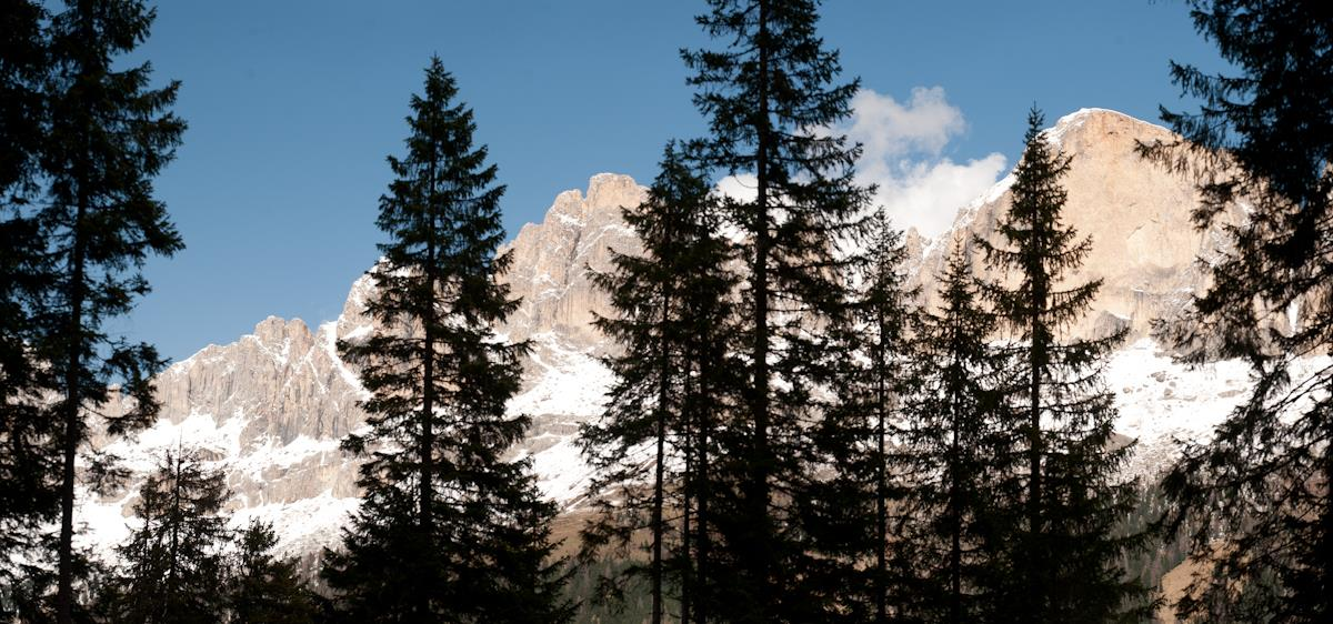 AZIENDA PROVINCIALE FORESTE E DEMANIO 1. Generalità L Azienda Provinciale Foreste e Demanio amministra il territorio demaniale e le foreste provinciali della Provincia Autonoma di Bolzano.