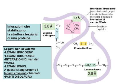 Struttura