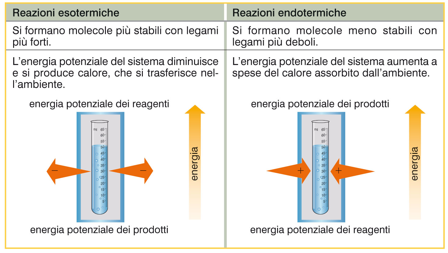 Durante le reazioni varia l energia chimica del sistema (V) In tutte le reazioni endotermiche aumenta l energia