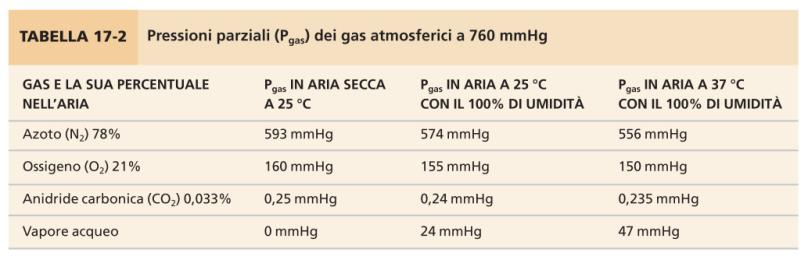 Variazioni