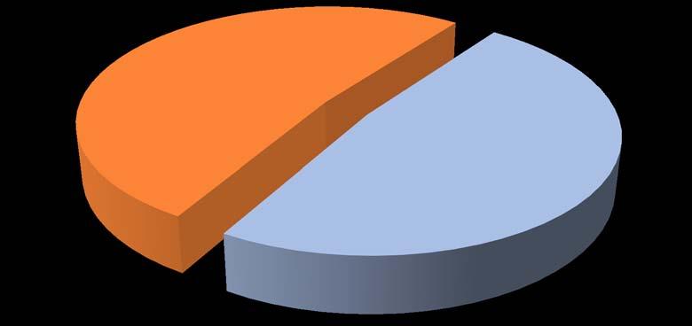 La popolazione di riferimento Aziende senza IDE Aziende con IDE (*) (*) Aziende che hanno