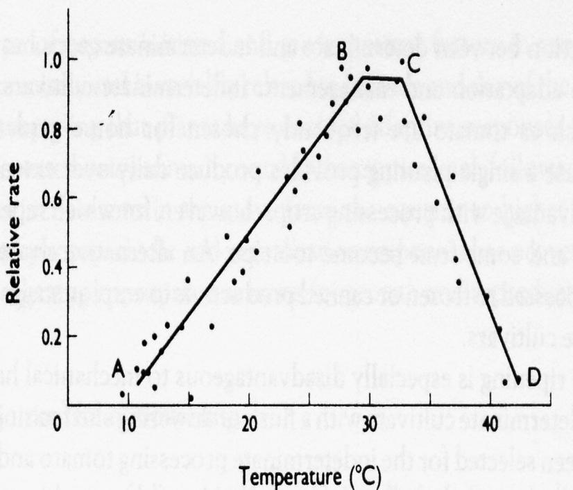 La temperatura e le piante Per ogni specie e cultivar esistono temperature minime e massime al di sotto o al di sopra delle quali non possono sopravvivere Entro questi estremi, esistono degli