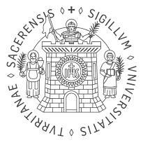 2. Il sigillo storico dell Università degli Studi di Sassari è il seguente: La nuova versione del sigillo, riporta lo schema iconografico della ricostruzione di Enrico Costa, di cui rappresenta una