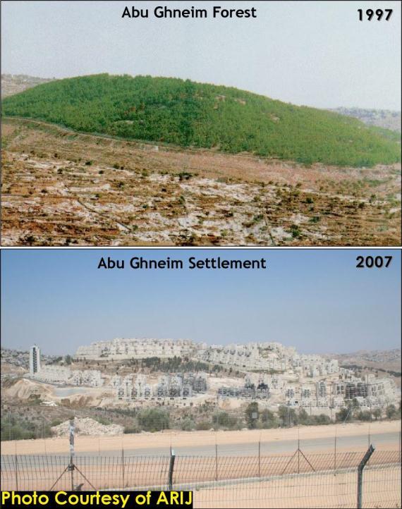 concreto: in 10 anni il bosco di Abu
