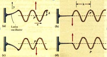 Possiamo facilmente constatare che non si genera una sola increspature ma tante che si succedono in serie, questo ci fa capire che l acqua, nel punto in cui è caduta la goccia, continua ad oscillare