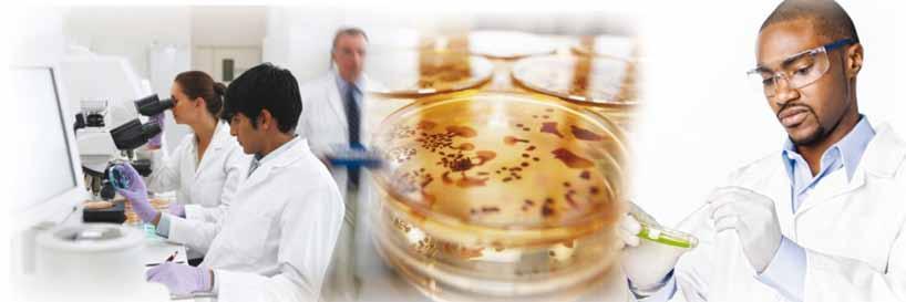 FOCUSED COURSE Il controllo microbiologico nel settore farmaceutico Test sui prodotti ed in process,