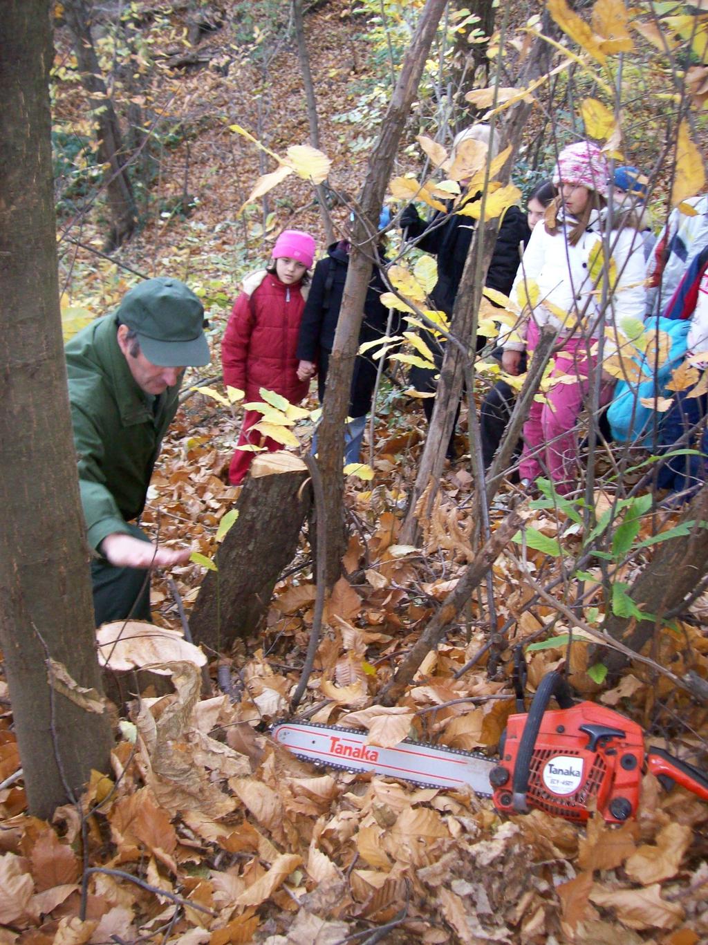 Il Servizio nel Parco Spina Verde L attività e i servizi: educazione ambientale con scuole Le Gev