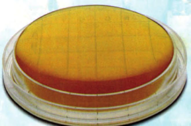 TECNICA PLAte Count Tecnica Plate Count utilizza piastre da contatto Rodac da 55 mm di diametro (Figura 1).