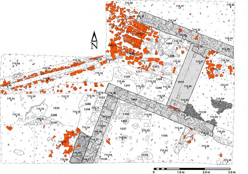 Fig. 4: Saggio