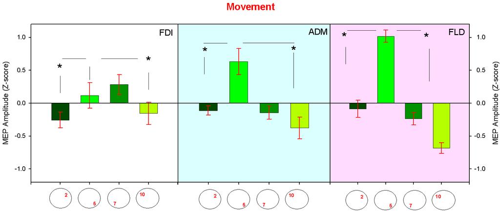 Durante il movimento