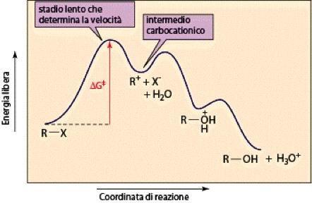 Nello stadio lento della rezione quindi si ha la formazione del carbocatione.