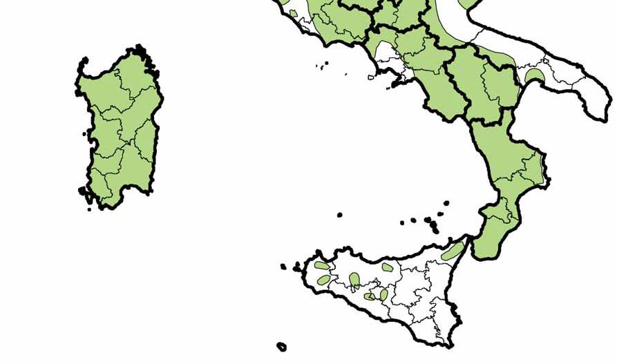 il CINGHIALE DISTRIBUZIONE