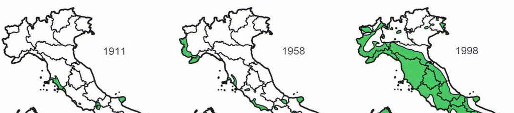 Evoluzione della distribuzione