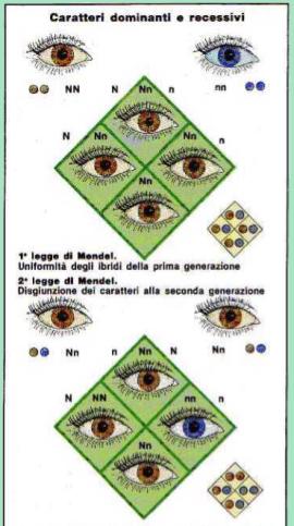 Giulio Mezzetti La Nuova Italia Si invitano i ragazzi ad analizzare il grafico di sinistra e si