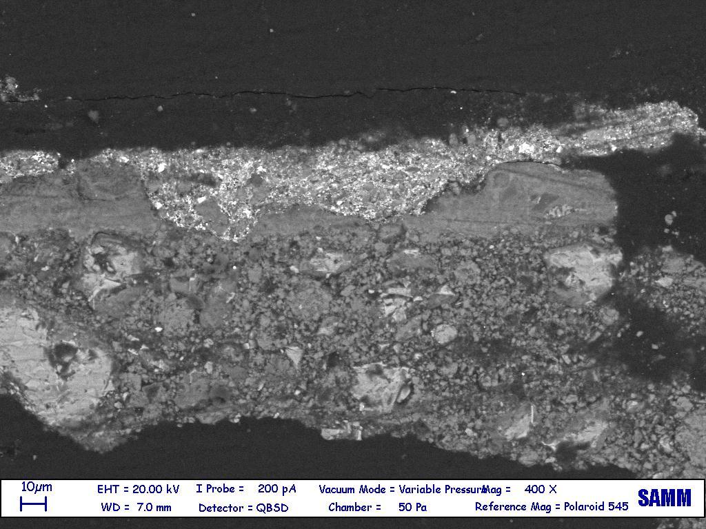 Fotografia al microscopio