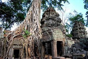 CAMBOGIA - OLTRE I SENTIERI BATTUTI: 3-14 NOVEMBRE 12 giorni a partire da 1770pp Un viaggio nella Cambogia vera per lasciarci sorprendere da una gamma diversificata di paesaggi come l'impenetrabile