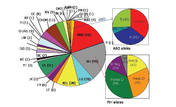 Diagnostica immunoematologica Sistemi Gruppo-Ematici 339 antigeni 296 antigeni appartenenti a 34 Sistemi (ISBT) 19 antigeni appartenenti a
