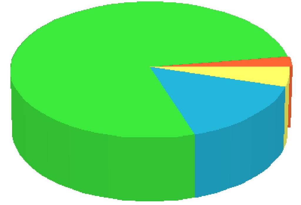 Condizione occupazionale Disoccupato/a-Inoccupato/a 78% Altro 2% Pensionato/a 5%